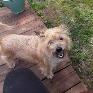 Meet your Posher, Joann